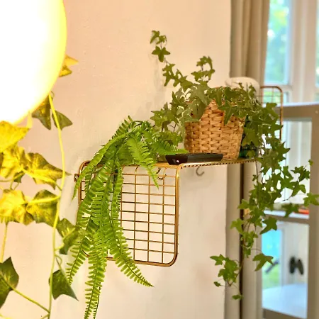 Little Escape Im Jugendstil Poolhaus - Wc Und Dusche Im Nebenhaus