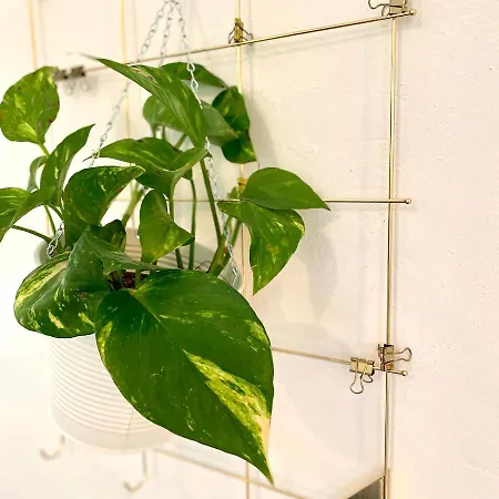 Little Escape Im Jugendstil Poolhaus - Wc Und Dusche Im Nebenhaus *